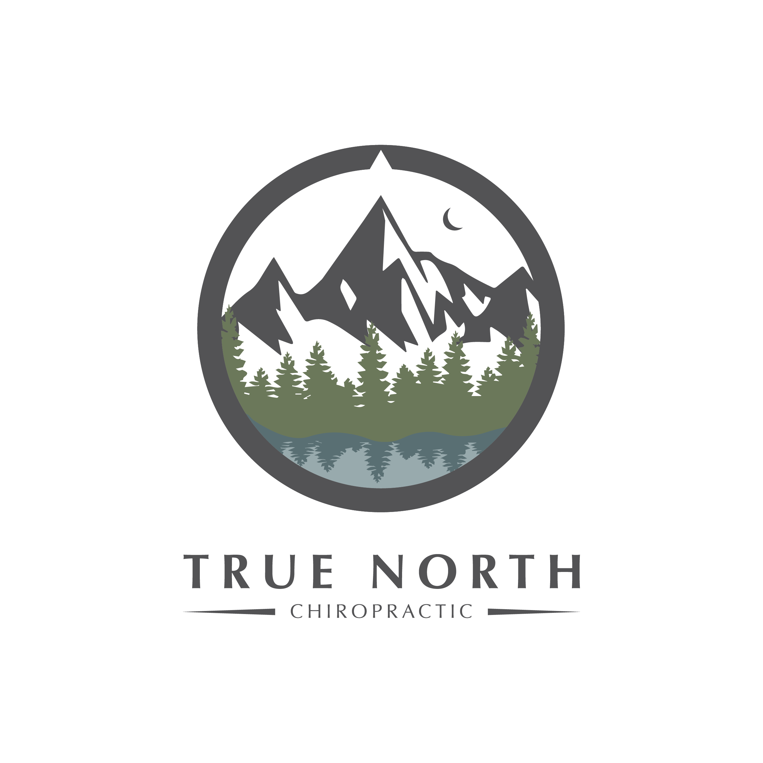 True North Chiropractic logo
