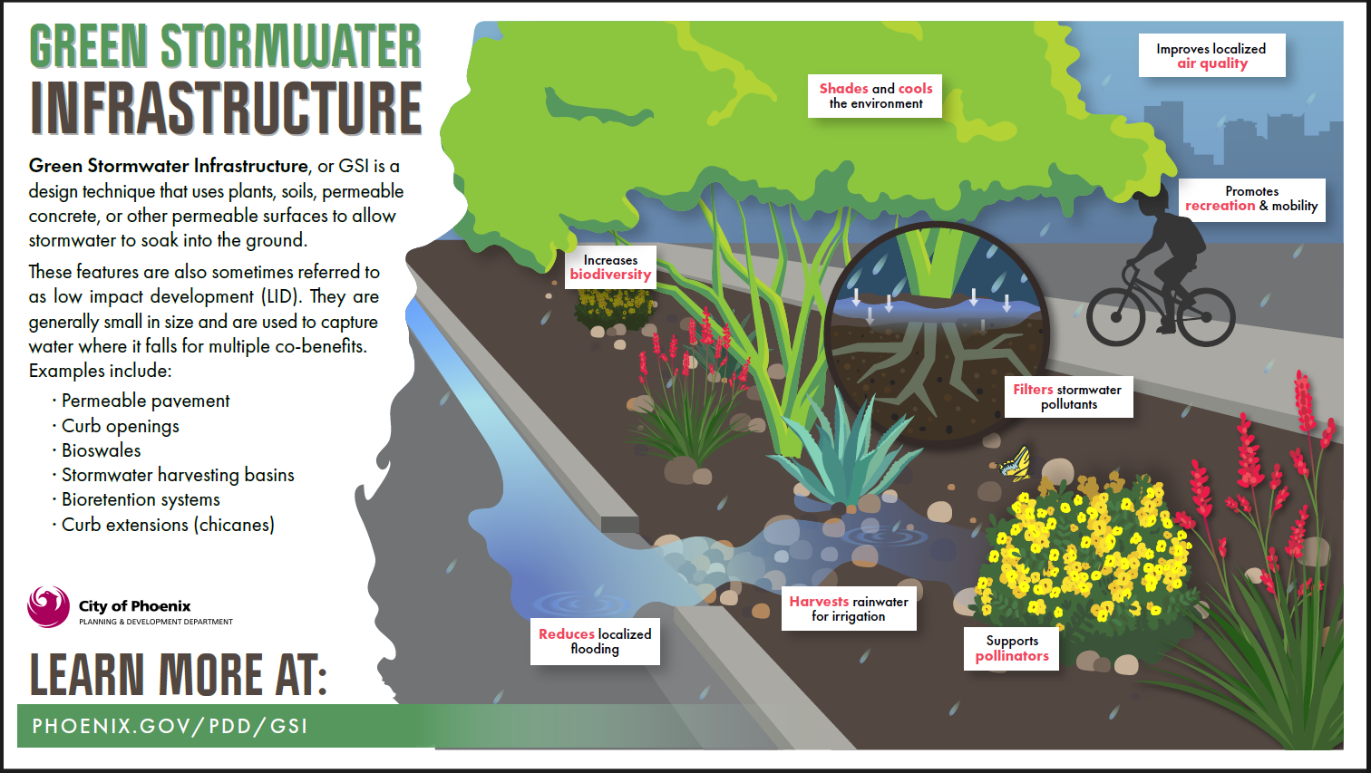 Storm Water Infographic