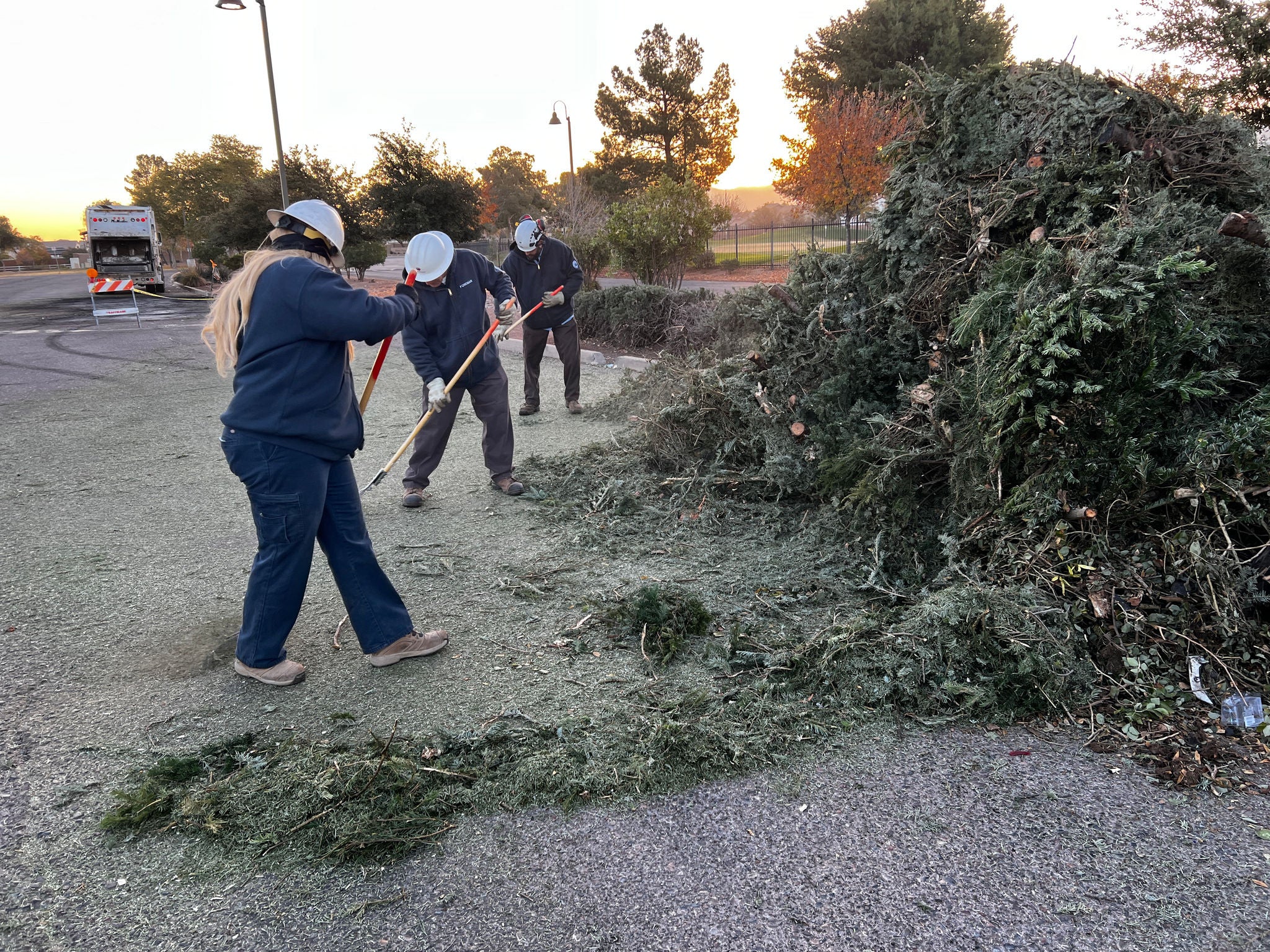 Parks employees rake up pine needles at a Christmas tree drop-off site at Cesar Chavez Park.