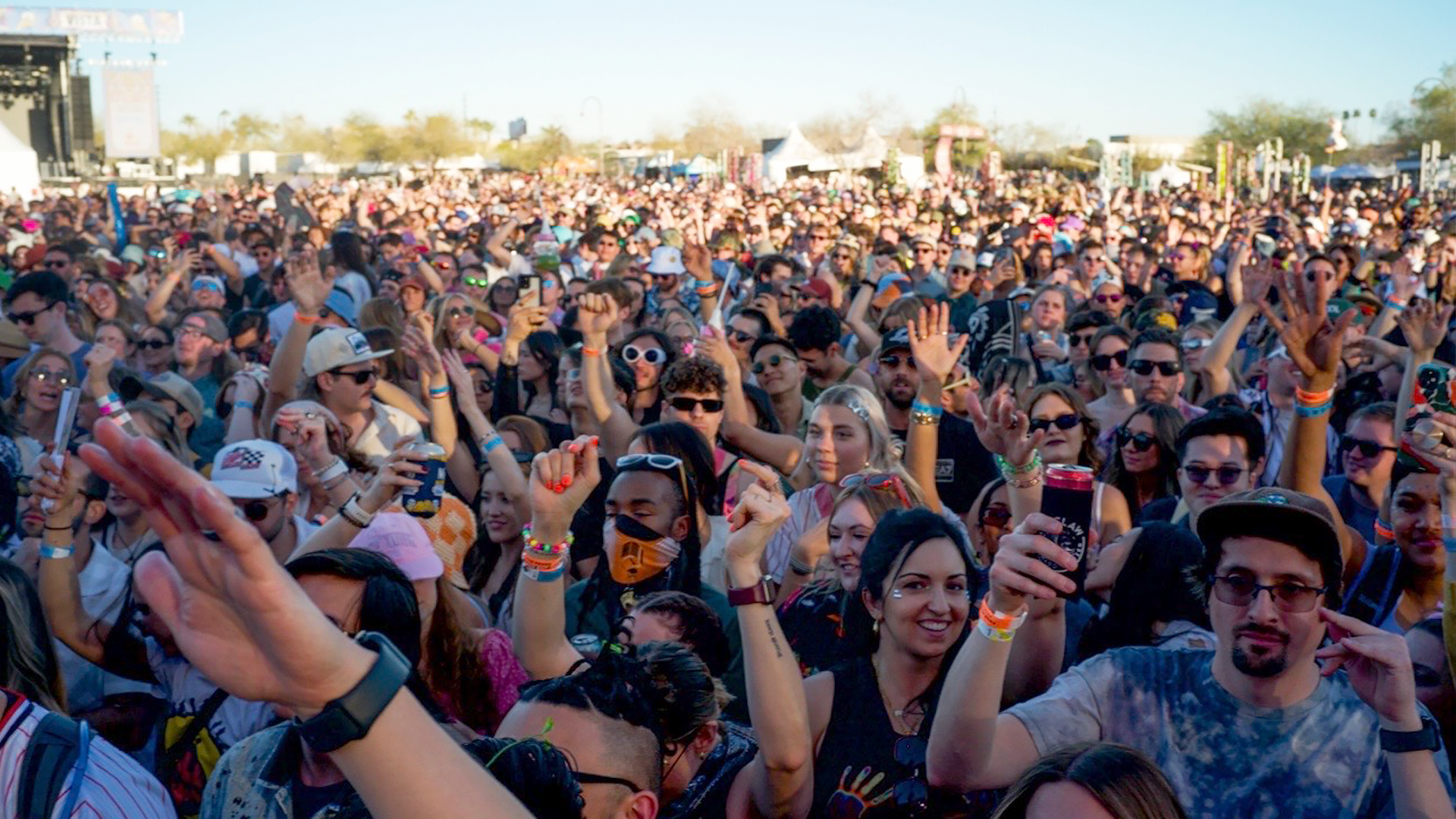Crowd at the Music Festival