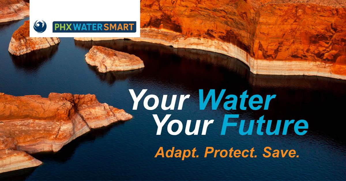 LI-ND-YT_1200x627_English