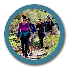 Hikers on a trail 