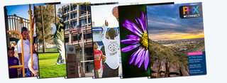 Newsletter covers