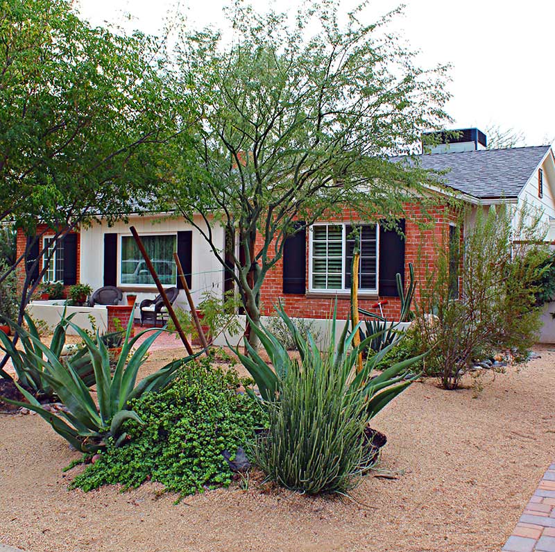 Brick House with Xeriscape Front Yard 