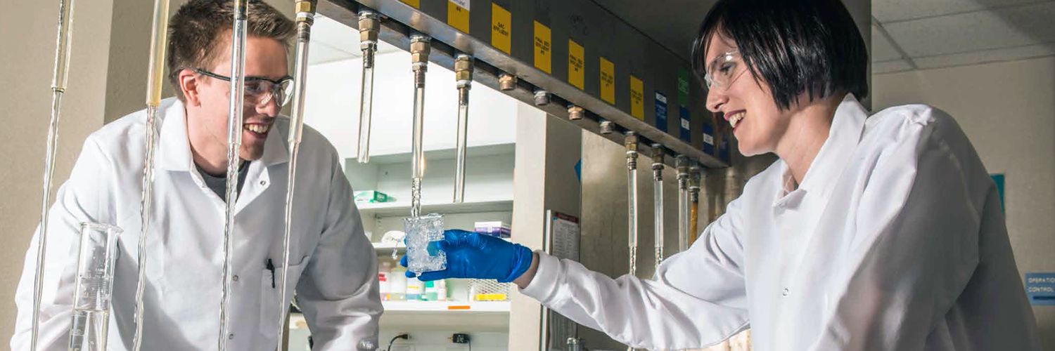 Phoenix water chemists 
