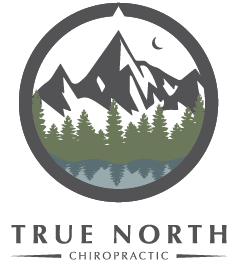 True North Chiropractic Logo