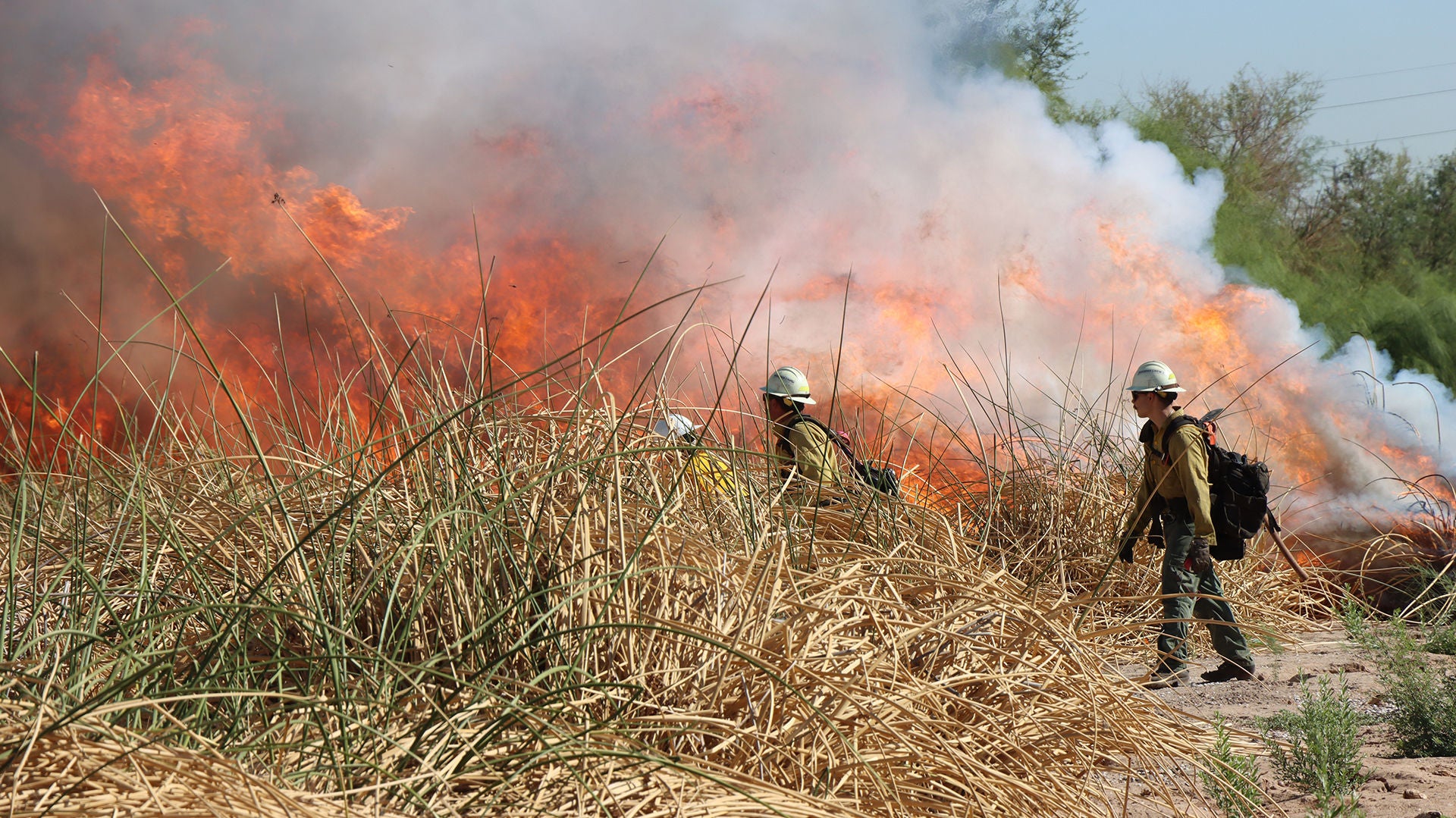 Newsroom WSD photo of Tres Rios Burn staff 