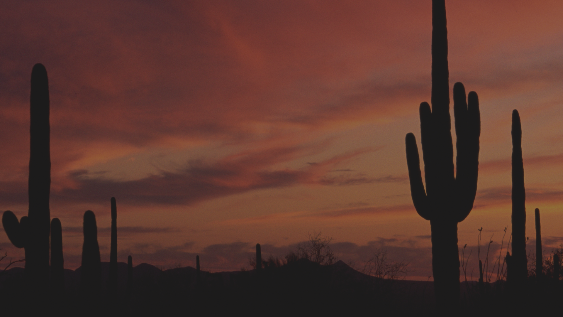 Glow Grow: Sunset Yoga (1920 x 1080 px) - 2