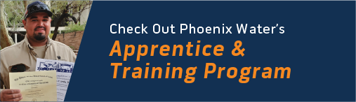 Apprenticeship graphic 