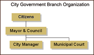 City Government Branch Organization Chart