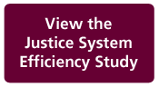 Justice System Efficiency Study Promo Button for I&E Website