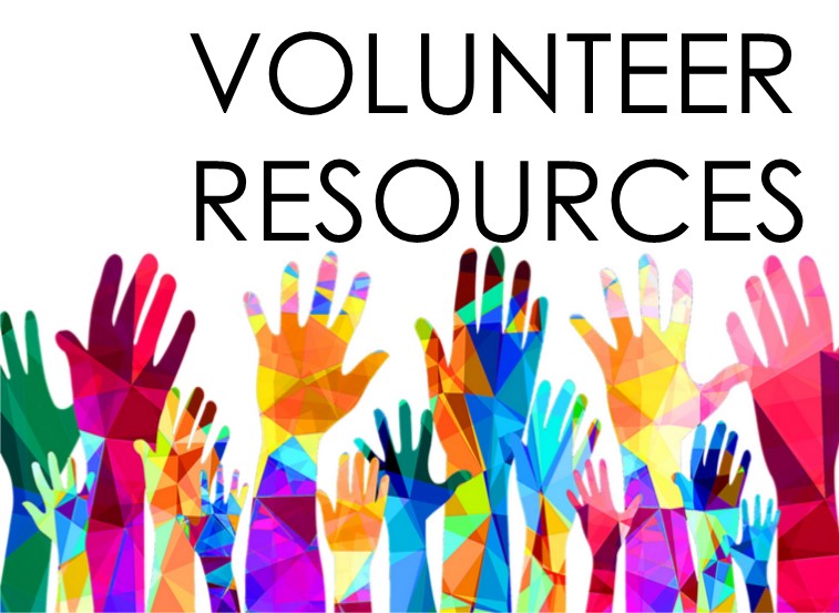 VITA Volunteer Resources button