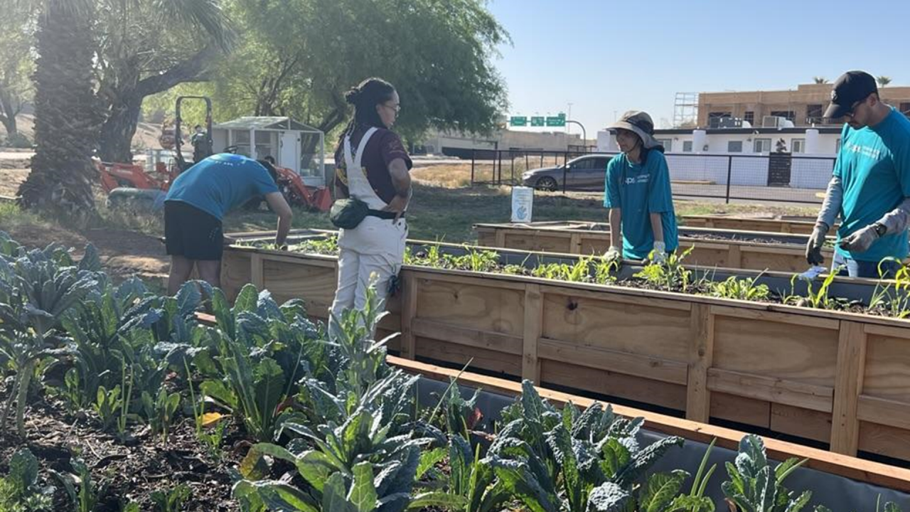 Raised garden beds are useful components in creating local urban food systems.
