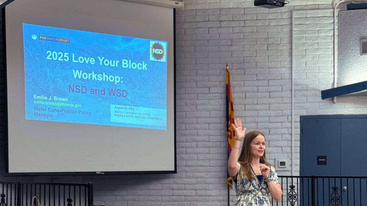 WSD Love Your Block Presentation 