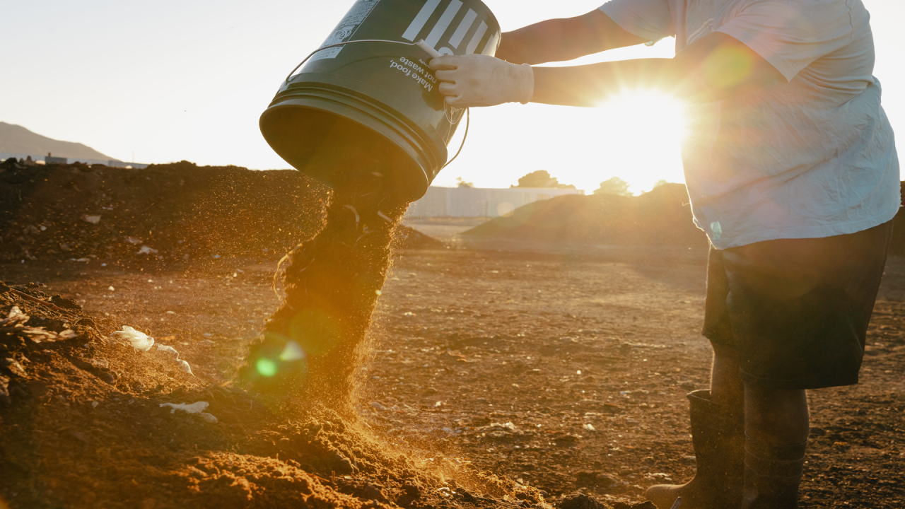 A farm worker dumping a bucket of dehydrated food grounds onto a pile of compost. It's golden hour with the evening sun casting glares into the camera.
