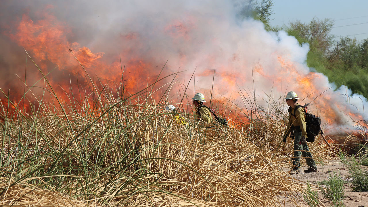 Newsroom WSD photo of Tres Rios Burn staff 