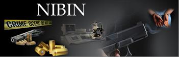 NIBN logo