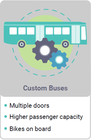 Custom buses