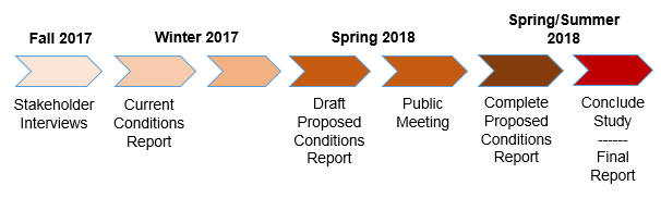 Timeline of the Study process