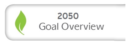 Goal Overview