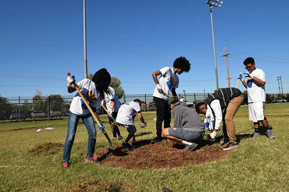 Students planting trees in school yard