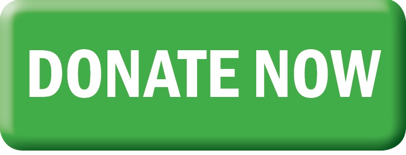 Donate Now Button