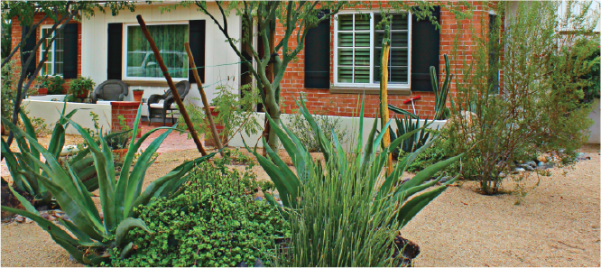 Home with Xeriscape landscaping