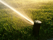 Lawn sprinkler spraying water over lush green grass.
