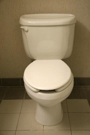 Ceramic toilet.
