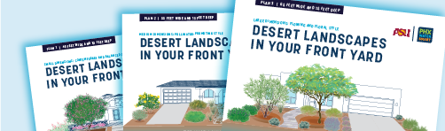 Desert Landscape Brochures